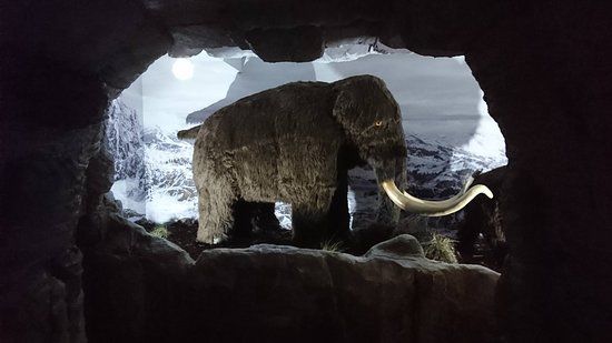 Bernsteinmuseum Leba